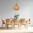 BRAYTRON D003R rattan függeszték (fekete)
