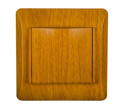 EL0629 PANEL WITH COVER PLATE FOR GERMAN TYPE SOCKET