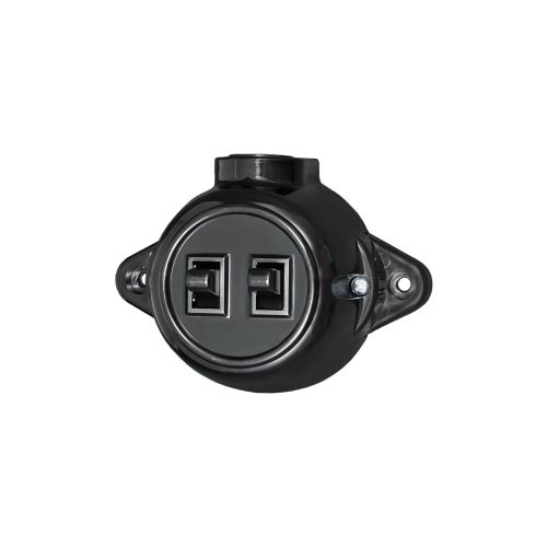 Antique Two Button One Way Switch 10А 250V Black