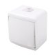 1 BUTTON 2 WAY SWITCH WATERPROOF