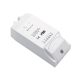 SMART WIFI SWITCH 10A 2-CHANNELS