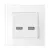 DOUBLE USB SOCKET GLASS FRAME WHITE
