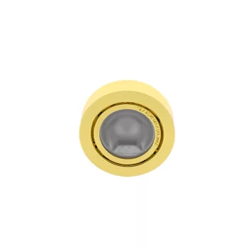 SIM-55 CABINET SPOTLIGHT5 GOLD FOR 12V JC HALOGEN LAMP