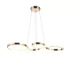 TINA LED PENDANT 35W 3000K, FRENCH GOLD
