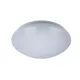 ELMARK Led Mennyezeti Lámpa 12W Smd5730 D250