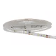 LED300(12/DC,IP65)-CW/5m, white PCB