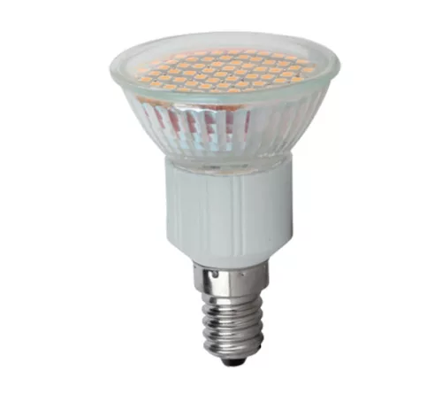 LED LAMP LED60SMD3528 3W E14 230V WHITE