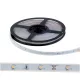 LED STRIP LED150 3528 12V DC IP65 30PCS/1M COLD WHITE