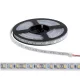 LED STRIP LED600 3528 12V DC IP65 120PCS/1M COLD WHITE