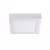 Kanlux KANTI V2LED / KANTI V2LED 12W-NW-W lámpa