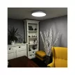 Nedes LED mennyezeti lámpa opál+távvezérlő+Wifi 48W - LC902AS/SI