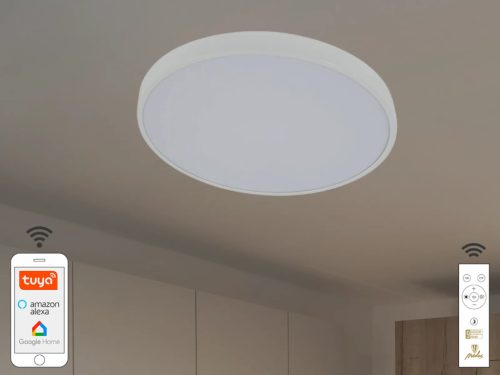 NEDES LED mennyezeti lámpa OPÁL + távvezérlő + Wifi 48W - LC902AS/WH