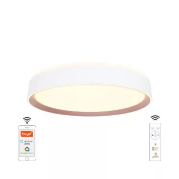   Nedes LED mennyezeti lámpa opál+távvezérlő+Wifi 48W - LC902M