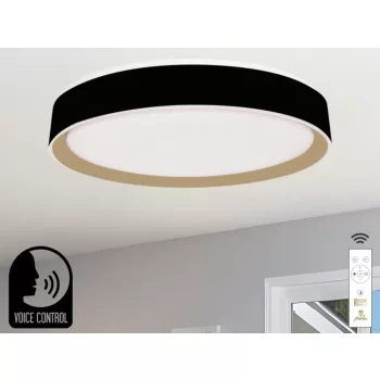   NEDES LED mennyezeti lámpa OPÁL + távvezérlő + HANGVEZÉRLÉS 48W - LC902MBV