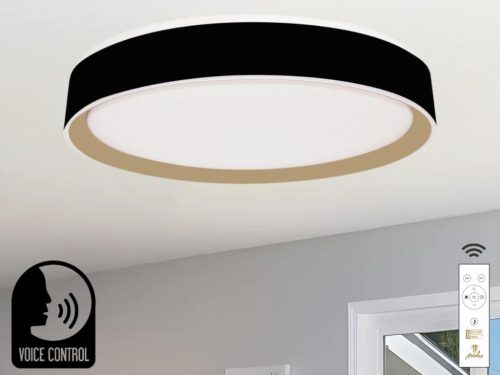 NEDES LED mennyezeti lámpa OPÁL + távvezérlő + HANGVEZÉRLÉS 48W - LC902MBV