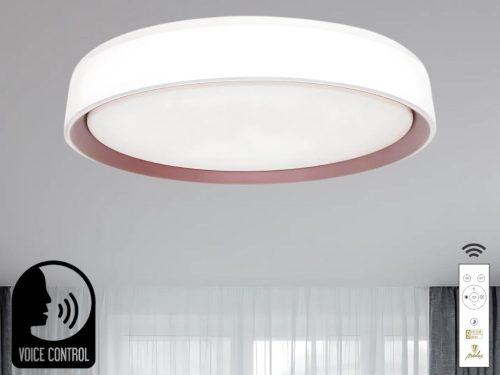 NEDES LED lámpa OPAL + távirányító + HANGVEZÉRLÉS 48W - LC902MV