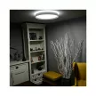 Nedes LED mennyezeti lámpa opál+távvezérlő+Wifi 48W - LC902M