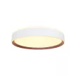 Nedes LED mennyezeti lámpa opál+távvezérlő+Wifi 48W - LC902M