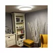 Nedes LED mennyezeti lámpa opál+távvezérlő+Wifi 48W - LC902M