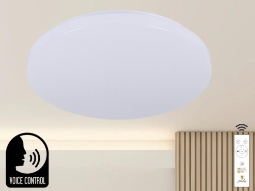 NEDES LED mennyezeti lámpa OPAL + távvezérlő + hangvezérlés 48W - LC902SV