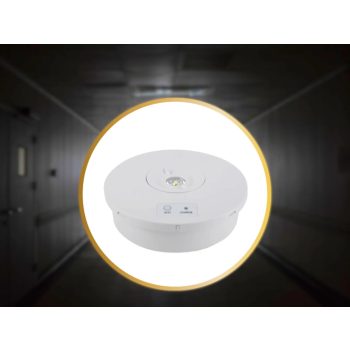NEDES LED készenléti világítás  2W / 3h / IP65 - LEL601