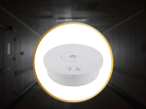 NEDES LED készenléti világítás  2W / 3h / IP65 - LEL601