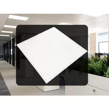   NEDES LED panel backlite 40W / 595x595 / SMD / 4000K / WH - PL5224