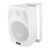 SOMOGYI SAL BXB 100/8, 2 utas hangdoboz, 2 in 1, 60 W / 8 Ohm, 40 W / 100 V, Bass reflex, billenthető, forgatható