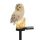 SOMOGYI Home MX671B napelemes kerti bagoly lámpa, 1 db melegfehér LED, akkumulátor, műgyanta, leszúrható