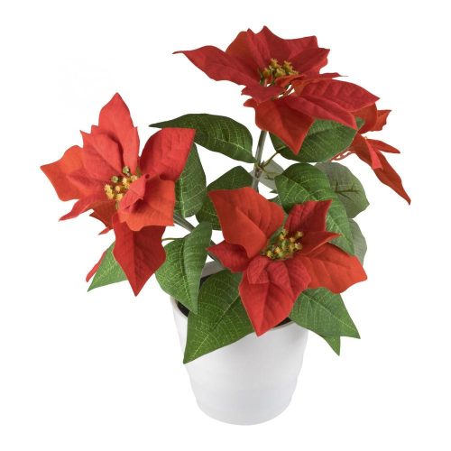 SOMOGYI Home SCF 5 mikulásvirág, 5 db LED, beltéri