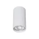 TK LIGHTING DOWNLIGHT SM TUNE 10023 1XGU10 WHITE