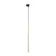 TK LIGHTING TRACK LIGHT TRACER 6029 G9 BLACK/GOLD