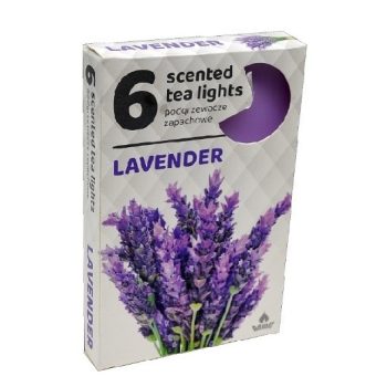 Teamécses Levendula 6db