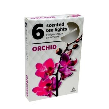 Teamécses Orchidea 6db