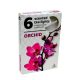 Teamécses Orchidea 6db