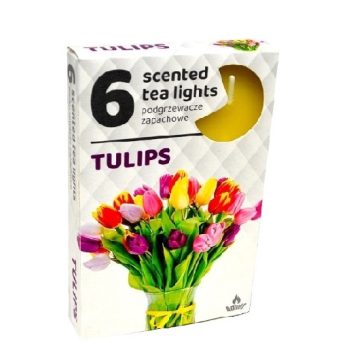 Teamécses Tulipán 6db