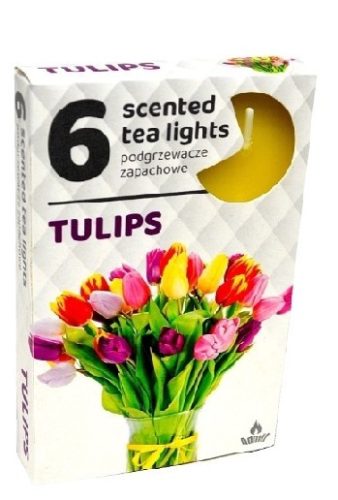Teamécses Tulipán 6db