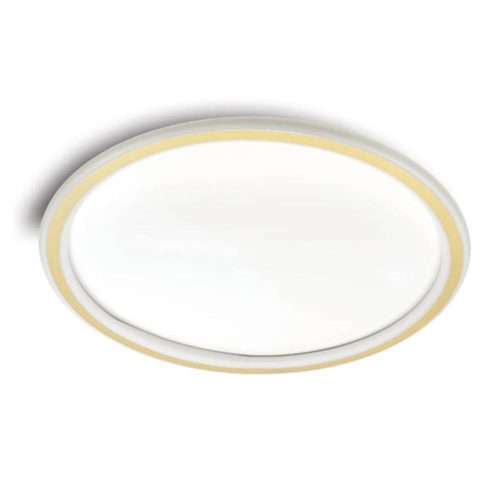 VITO Led Ceiling Round Lighting Fixture Disc 2 Φ500*H45 46W 3Xcct-Dip Switch White+Gold 2026250 VITO