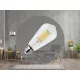 NEDES LED Filament 12W - ST64 / E27 / 3000K - ZLF915