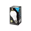 Nedes LED 12W-A60/E27/SMD/6500K-ZLS503