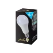 Nedes LED 18W - A80/E27/SMD/6500K - ZLS507