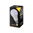 Nedes LED 18W - A80/E27/SMD/3000K - ZLS517