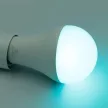 NEDES LED izzó WIFI 15W - A60 / E27 / CCT + RGB - ZLS535W