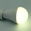 NEDES LED izzó WIFI 15W - A60 / E27 / CCT + RGB - ZLS535W
