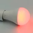 NEDES LED izzó WIFI 15W - A60 / E27 / CCT + RGB - ZLS535W