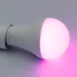 NEDES LED izzó WIFI 15W - A60 / E27 / CCT + RGB - ZLS535W
