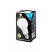Nedes LED 9W-A60/E27/SMD/6500K-ZLS562