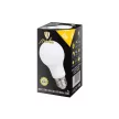Nedes LED 9W-A60/E27/SMD/3000K-ZLS572