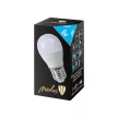 Nedes LED 8W-G45/E27/SMD/6500K-ZLS809