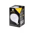 Nedes LED 5W-G45/E14/SMD/3000K-ZLS812